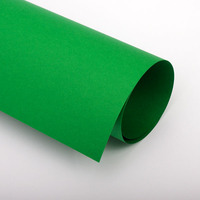Бумага цветная 70х100 см 120 г/м2 Spectra color 41А зеленый темный -Бумагия-
