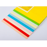 Бумага цветная MIX Megamix А4 100(10х10) листов 80 г/м2 -Бумагия-