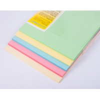Бумага цветная MIX PASTEL А4 250(5х50) листов 80 г/м2 -Бумагия-