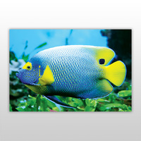 Игра пазл, серия «Яркие рыбки», арт. PZ-0608 -Бумагия-
